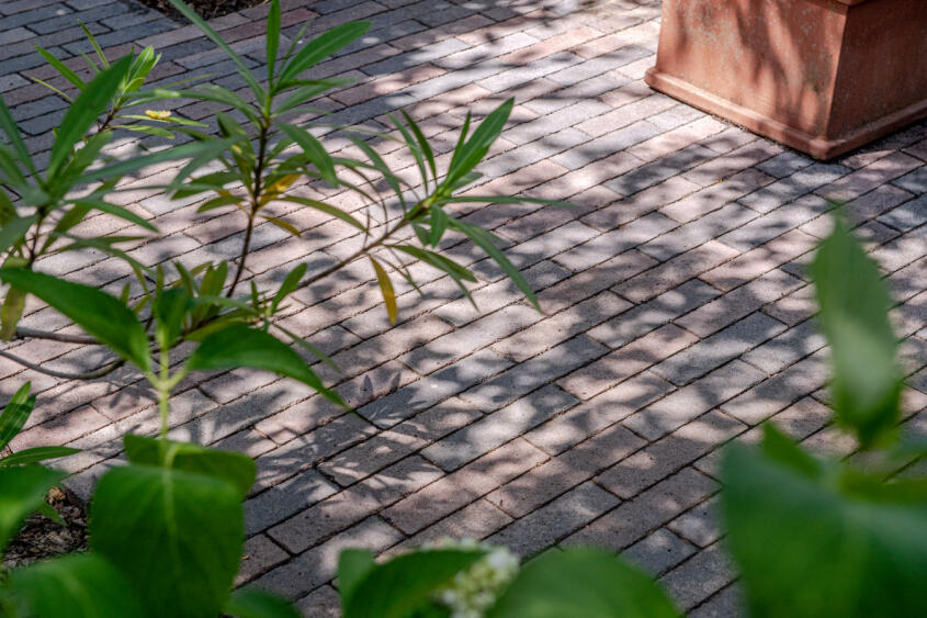 Spring Alvar rotschwarz