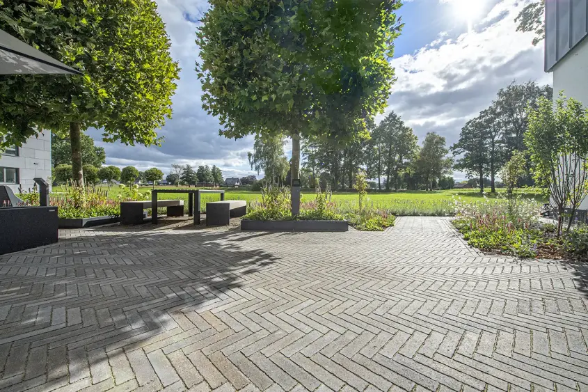 Spring Alvar braungrau