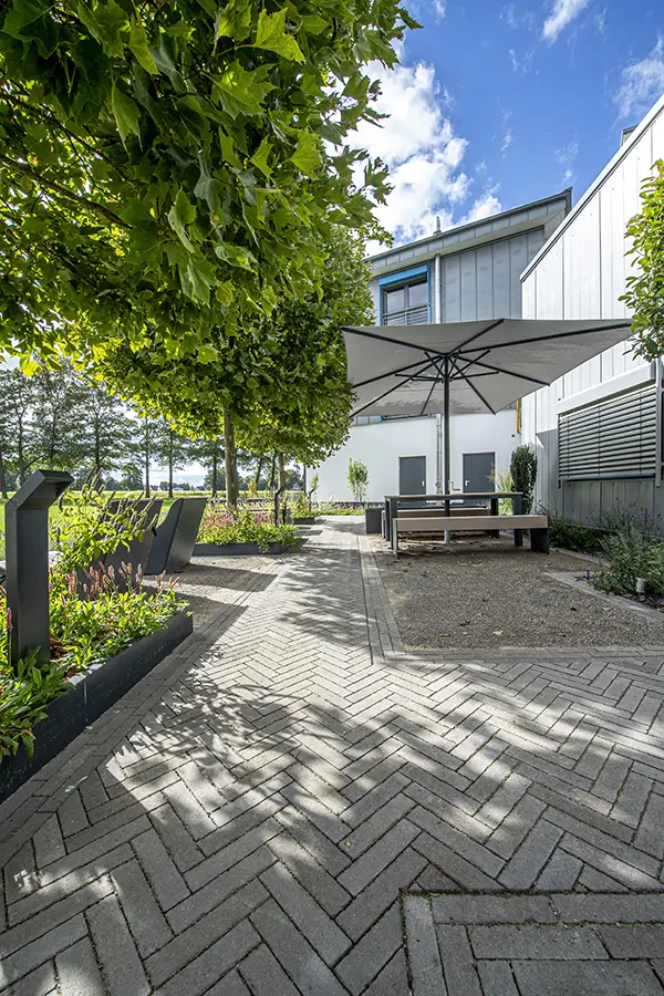 Spring Alvar braungrau