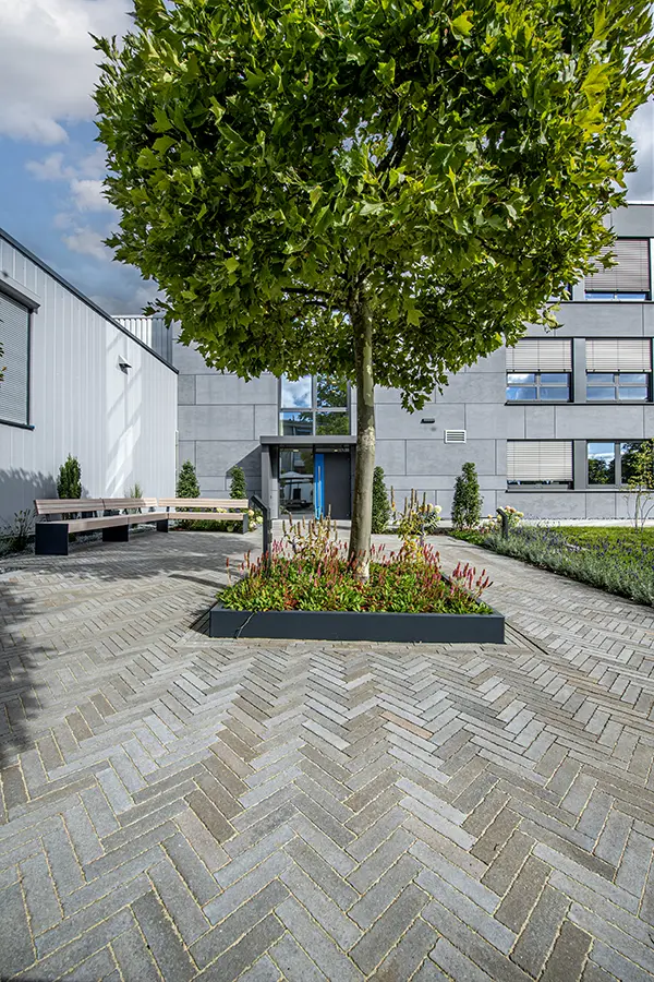 Spring Alvar braungrau