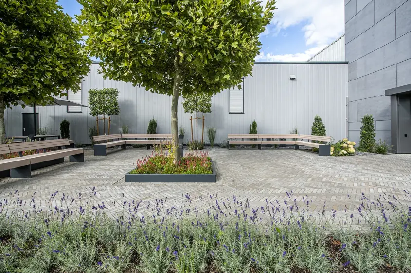 Spring Alvar braungrau